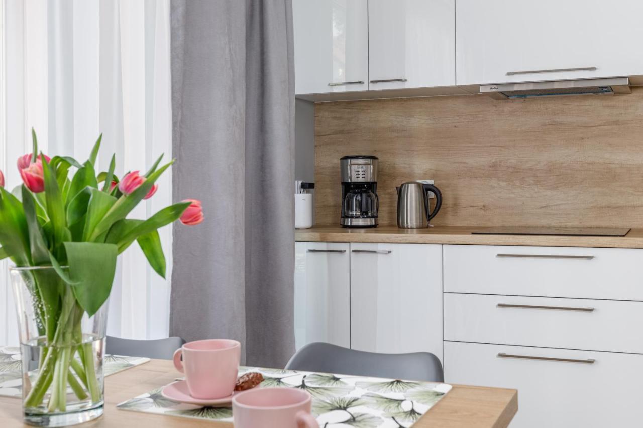Apartment With Parking 500 M From The Sea By Noclegi Renters ミエンジボジェ エクステリア 写真